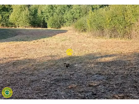 vente terrain 4595 m² à néris-les-bains (03310)  20 000 €