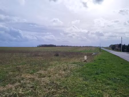 vente terrain 1775 m² à montcorbon (45220)  30 000 €