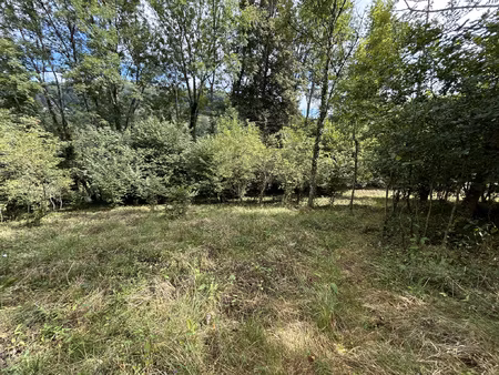 terrain arboré non constructible