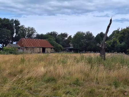 vente terrain 2595 m² à senneville-sur-fécamp (76400)  78 000 €