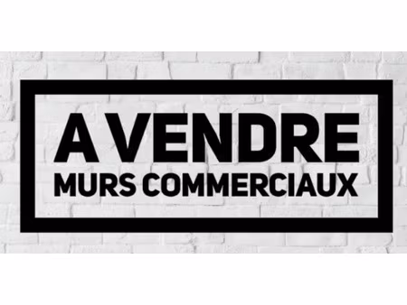 vente locaux professionnels 311 m² à la brède (33650)  435 000 €