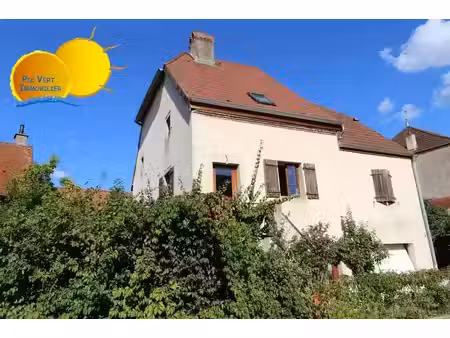 vente locaux professionnels 10 pièces 270 m² à peintre (39290)  250 000 €