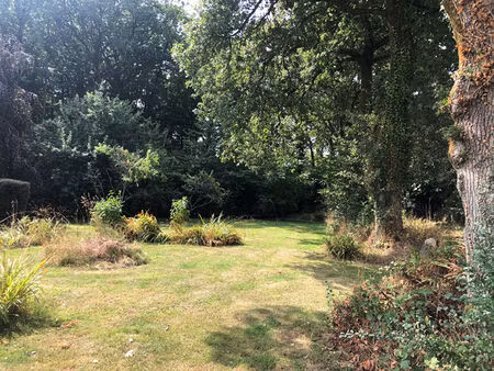 terrain constructible (56400)