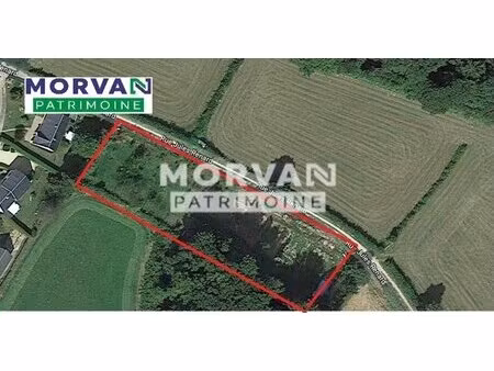 achat terrain 2 955m² chateau chinon ville 58120