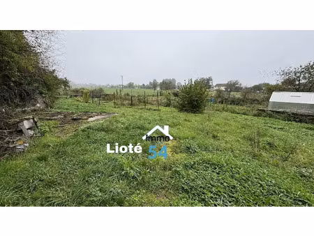 vente maison 4 pièces 150 m² à socourt (88130)  91 000 €