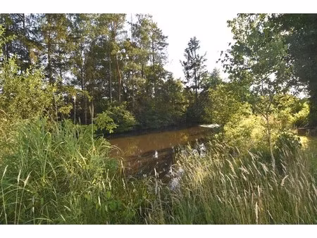 grond te koop in begijnendijk