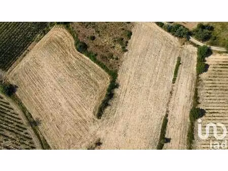 vente terrain à murviel-lès-béziers (34490) : à vendre / 10190m² murviel-lès-béziers