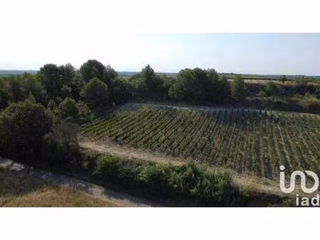vente terrain à pailhès (34490) : à vendre / 6840m² pailhès