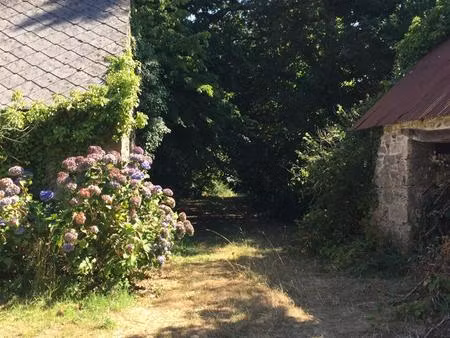 très grande maison