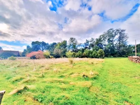 vente terrain 946 m² à petitefontaine (90360)  95 000 €