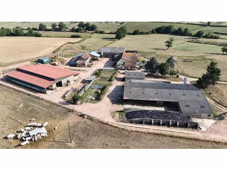 vente ferme 6 pièces 200 m² à charolles (71120)  380 000 €