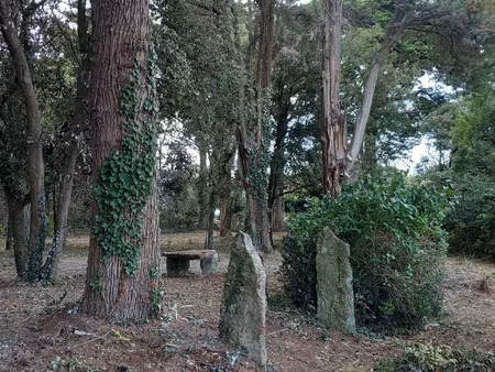 achat terrain 2 000m² l epine 85740