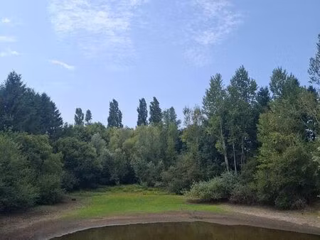 terrain 19617 m² malicorne