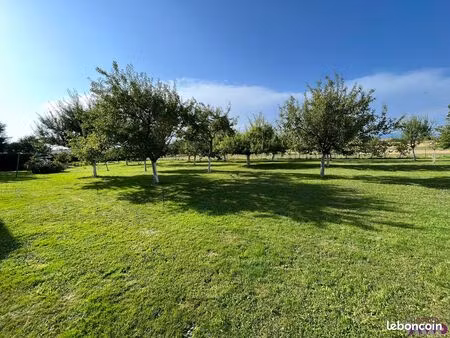 terrain 1215 m² angeot