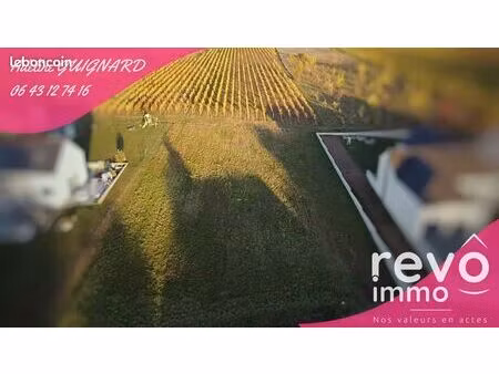 terrain 1239 m² saint lambert du lattay