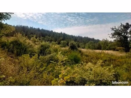 terrain 2200 m² saint vincent de barres