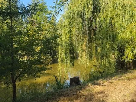terrain bord de rivière  chasse  pêche  loisir