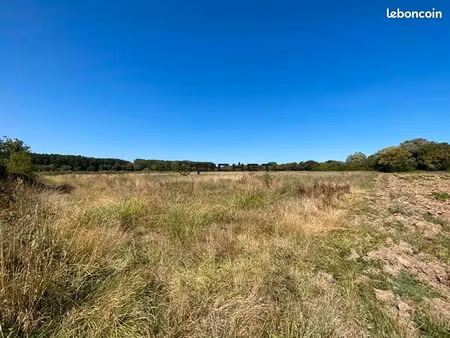 terrain 9656 m² genissac