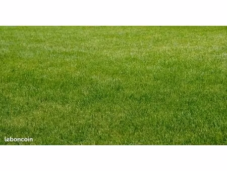 terrain 1390 m² trevieres