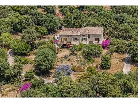 maison de luxe à vendre à lumio