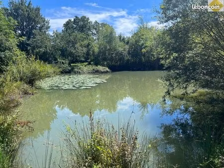 terrain 10 720 m² pleumartin