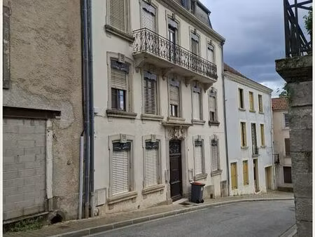 immeuble 466 m² bourbonne les bains