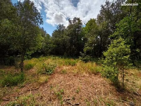 terrain agricole 3 120 m² maureillas las illas