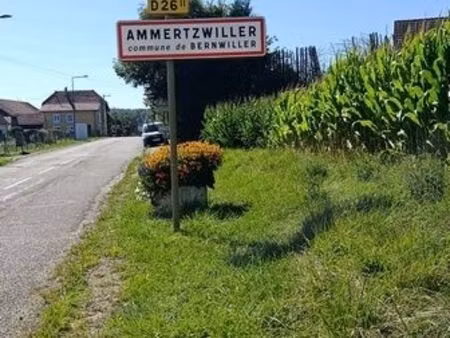 terrain 600 m² ammerzwiller