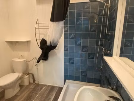 vends f1 rdc de 33 m2 centre thann