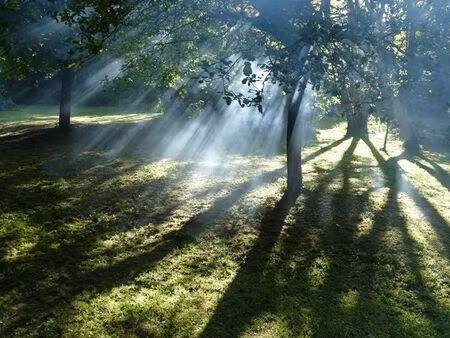 terrain constructible à vendre à villiers-sur-morin (seine-et-marne 77)