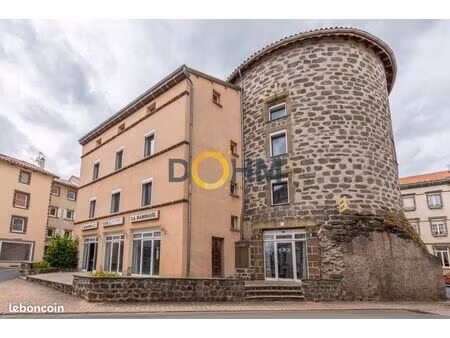 immeuble 600 m² loudes