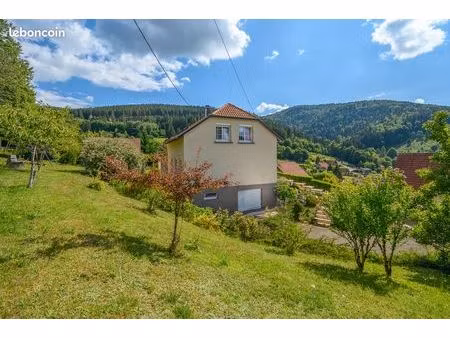 très belle propriété 5/6 pièces calme 17 7ares terasse double garage