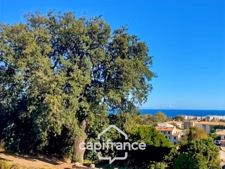 appartement à vendre 3 pièces moriani (20) de 61 06 m2 - terrasse de 24 24 m2