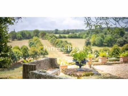 maison avec piscine et jardin bonas (32)