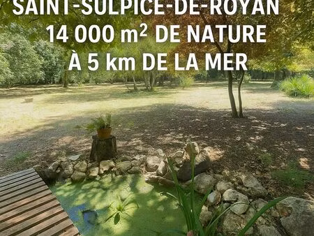 terrain non constructible saint sulpice de royan