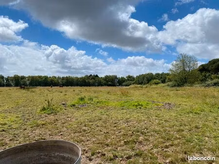 pré prairie pâture chevaux