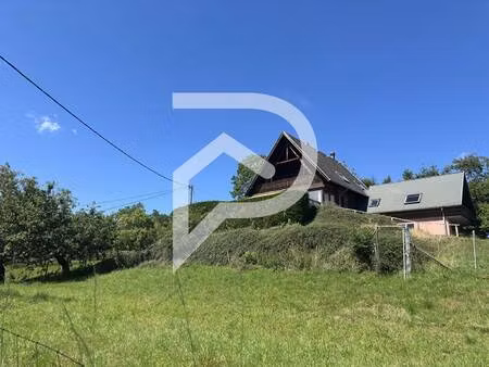 stephane plaza immobilier colmar -sud