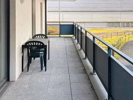 evel immobilier metz