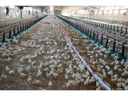 me pontoizeau jean-philippe