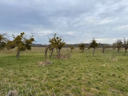 terrain constructible viabilisé à vendre