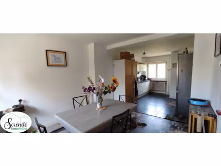 maison de vilage avec jardin et garage