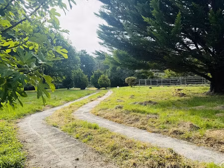 vente chalet 3 pièces 40 m² à chailly-en-gâtinais (45260)  79 000 €