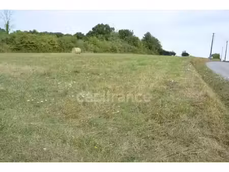 terrain à vendre alligny cosne 3285m2 70 000€