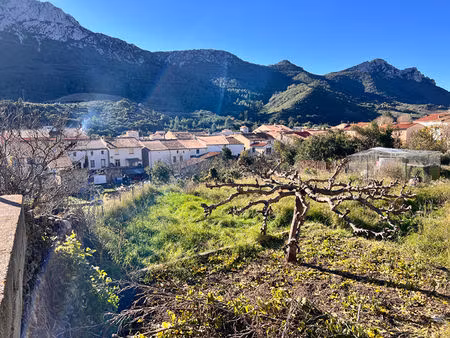 maison t3 maury à vendre