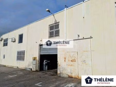 location commerce 152 m² à lattes (34970)