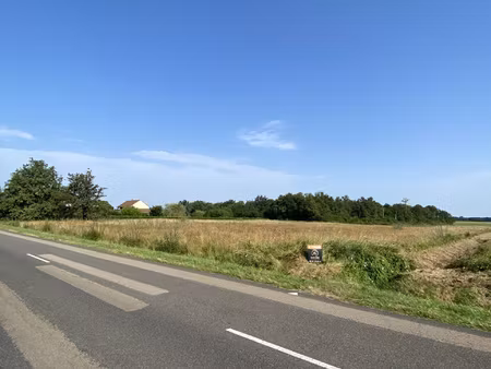 tracy-sur-loire  terrain constructible de 4969 m2
