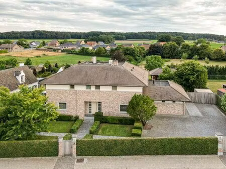maison à vendre à opitter € 1.250.000 (l31mv) - era connect (hoeselt) | zimmo