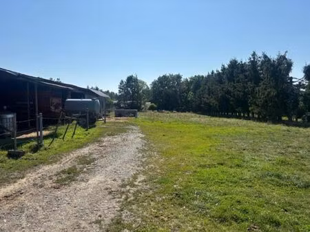 beau terrain de 21 ares à petit-han (durbuy)