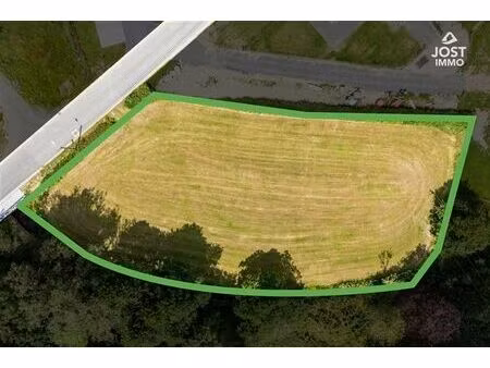 terrain à bâtir à vendre 31 ares 34 ca | heinstert | jost-im