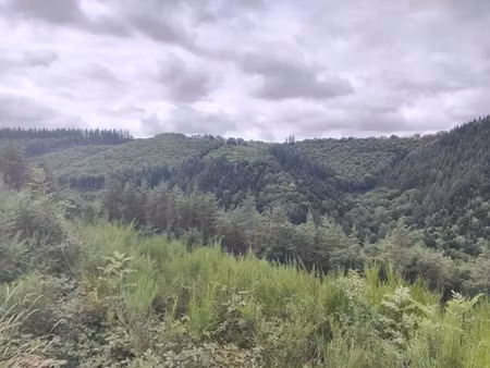 vente terrain 225742 m² à lacaze (81330)  89 000 €